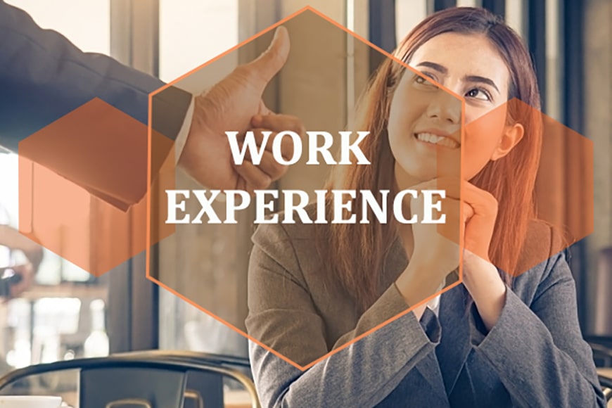 What is a Work Experience Letter?
